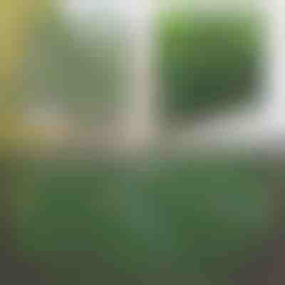 Cerca decorativa e prática para terraço ou jardim | GREENFENCE