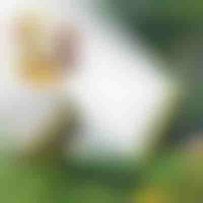 Aspersor de Rega Multidirecional | SPRAYMASTER