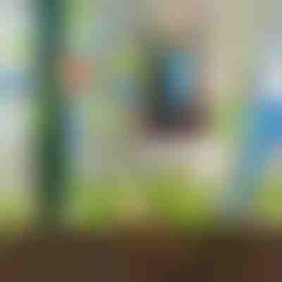 CONJUNTO PARA REGA DE 8 PEÇAS | PLANTDROPS