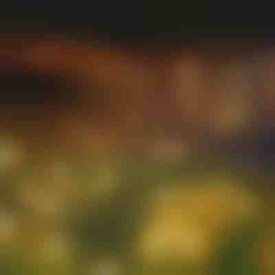 Luzes solares de jardim (luz quente) | SOMPEX